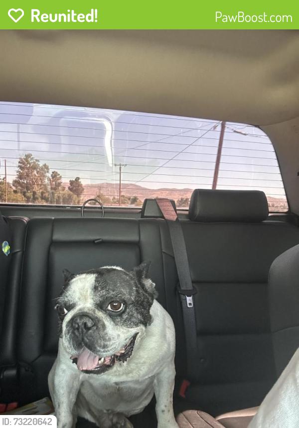 Reunited Male Dog last seen 25th east and j-8, Lancaster, CA 93535