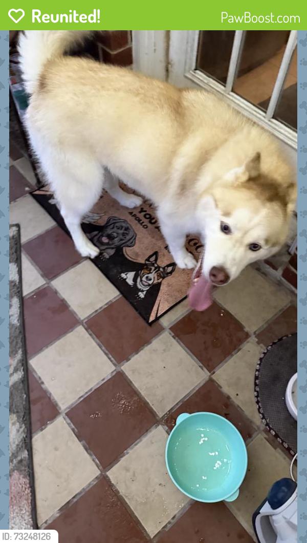 Reunited Male Dog last seen Near De Four Trce, Seabrook, TX 77586, USA, Seabrook, TX 77586