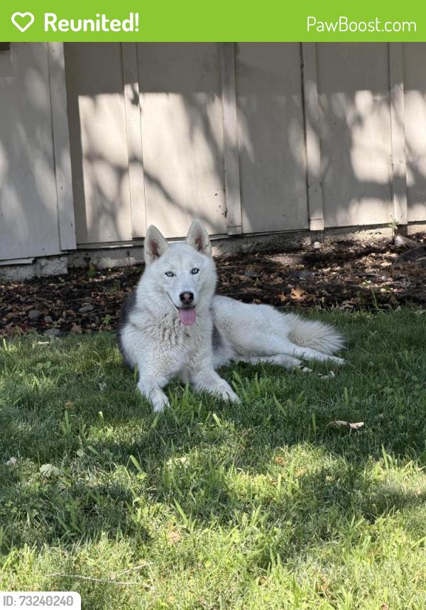 Reunited Unknown Dog last seen Quail Lakes, Stockton, CA 95207