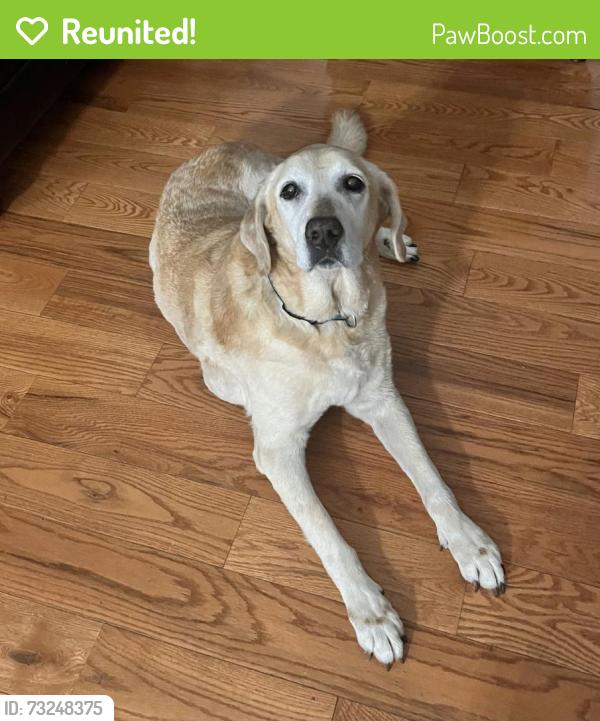 Reunited Male Dog last seen Wayne White Rd, Racine Rd, NC 27317