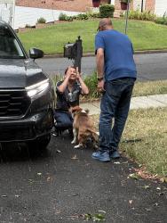 Reunited Male Dog last seen Good Luck Crest Park Dr, Prince George's County, MD 20737