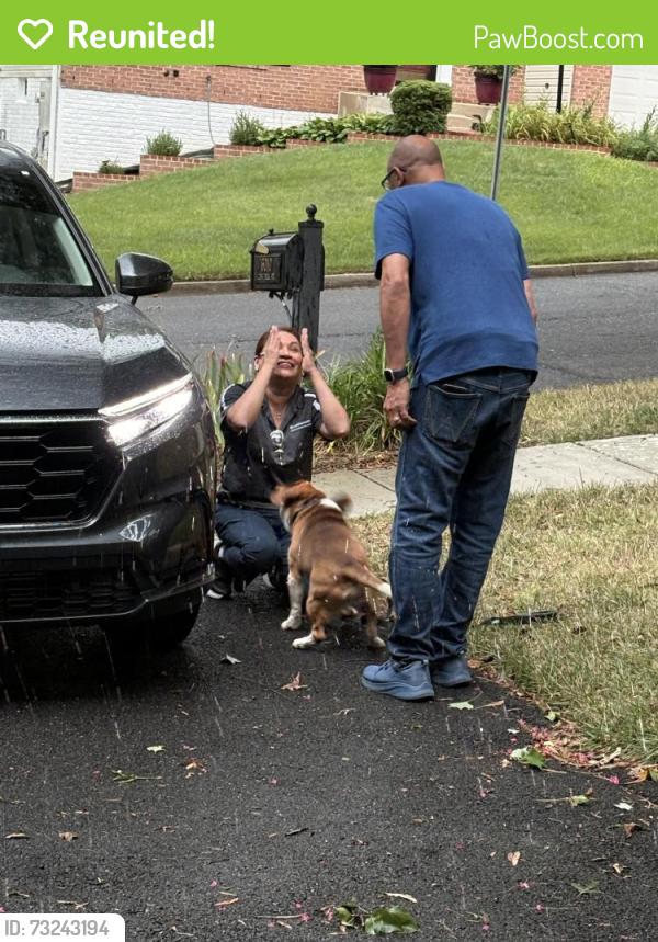 Reunited Male Dog last seen Good Luck Crest Park Dr, Prince George's County, MD 20737
