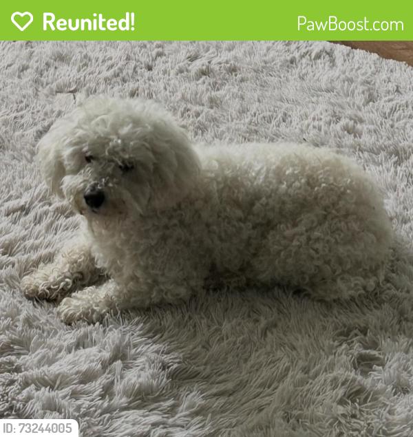 Reunited Female Dog last seen El Dorado & Hammer area, Stockton, CA 95210