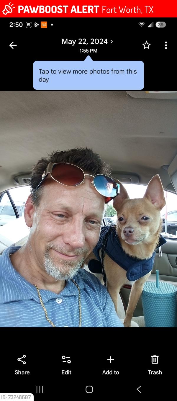 Lost Male Dog last seen Railroad tracks by Arizona Ave, Fort Worth, TX 76104