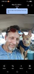 Lost Male Dog last seen Railroad tracks by Arizona Ave, Fort Worth, TX 76104