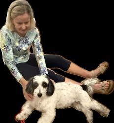 Reunited Female Dog last seen Near Gessner and Memorial Drive, Houston, TX 77024
