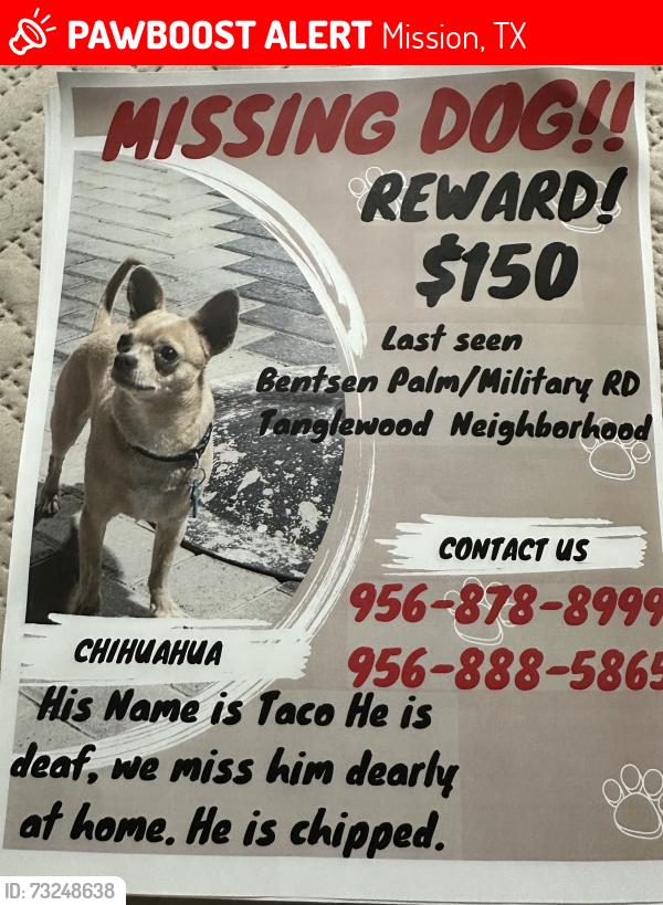 Lost Male Dog last seen Bentsen palm and military, Mission, TX 78572