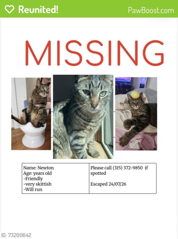 Reunited Male Cat last seen Rte31 and townline rd in Verona ny, Verona, NY 13476