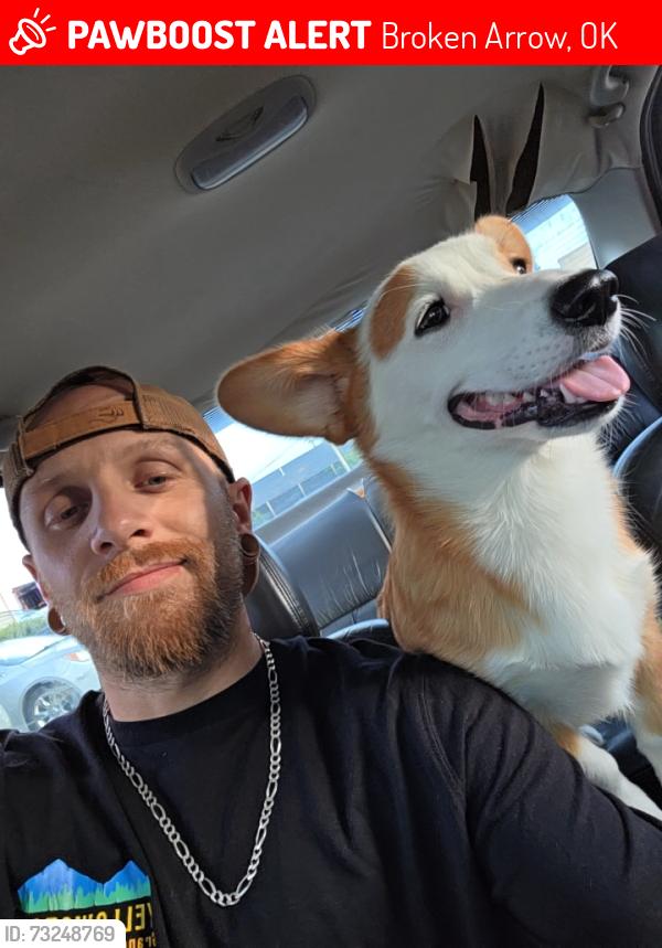 Lost Male Dog last seen Gary and Beech Court, Broken Arrow, OK 74012