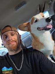 Lost Male Dog last seen Gary and Beech Court, Broken Arrow, OK 74012