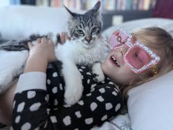 Lost Male Cat last seen fawn lane & mt rose highway, Reno, NV 89511