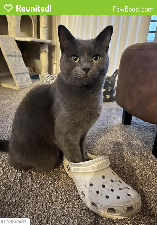 Reunited Female Cat last seen Tracker last tracked her on Elm St, Terrell, TX 75160