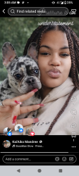 Lost Female Dog last seen Downtown, San Diego, CA 92110