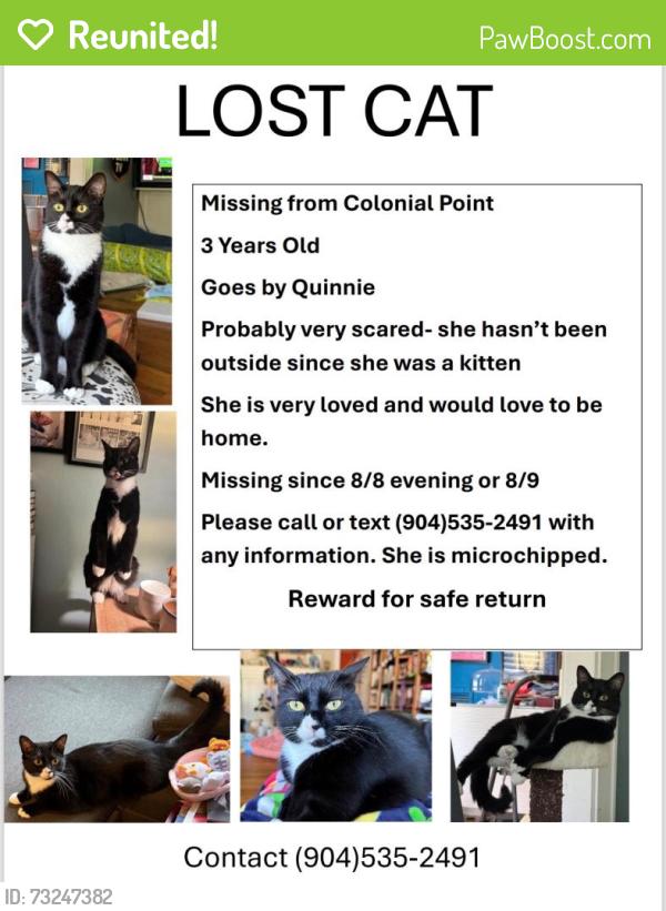 Reunited Female Cat last seen Colonial Point, Jacksonville, FL 32207