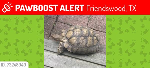 Lost Male Reptile last seen Shadowbend & FM 518 Friendswood, Friendswood, TX 77546
