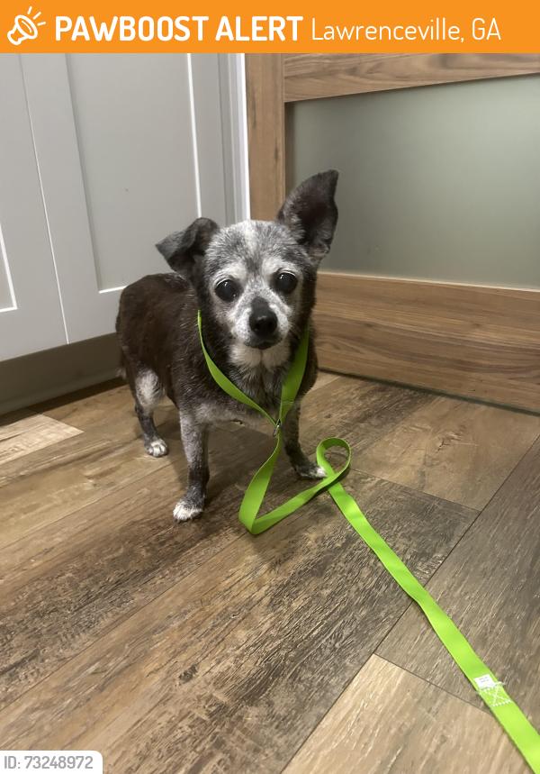 Found/Stray Female Dog last seen Hillary Lane, Lawrenceville GA 30043, Lawrenceville, GA 30043