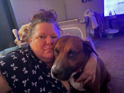 Lost Male Dog last seen Hwy 49, Byron, GA 31008
