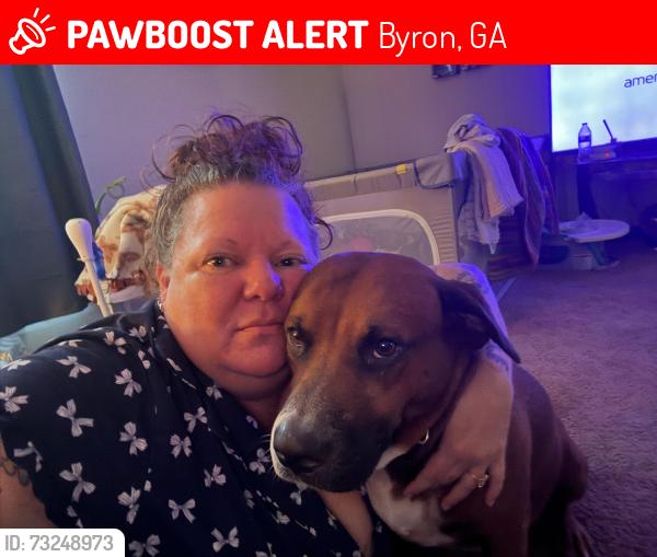 Lost Male Dog last seen Hwy 49, Byron, GA 31008