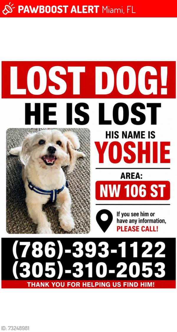 Lost Male Dog last seen 27th NW 106st, Miami, FL 33147