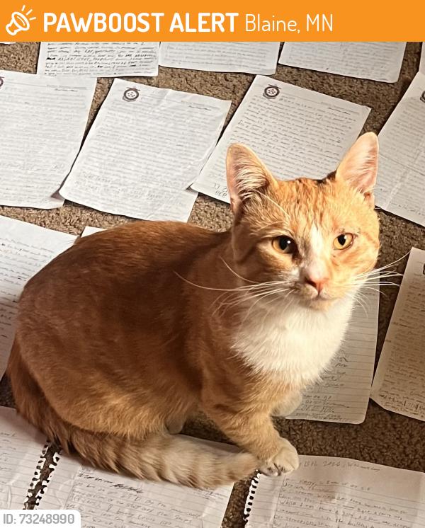 Found/Stray Male Cat last seen Near and 104th Street, Blaine, MN 55434