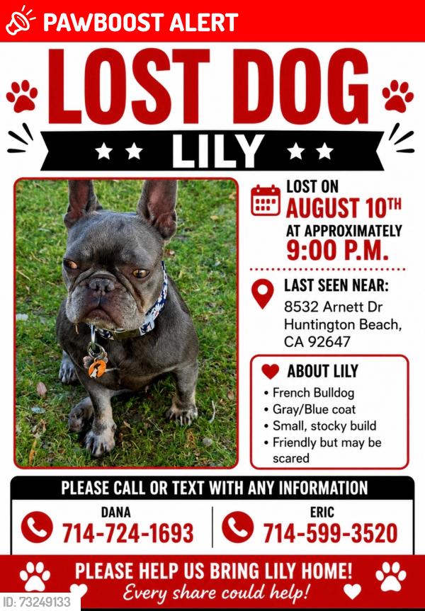 Lost Female Dog last seen Newland and Warner, Huntington Beach, CA 92647