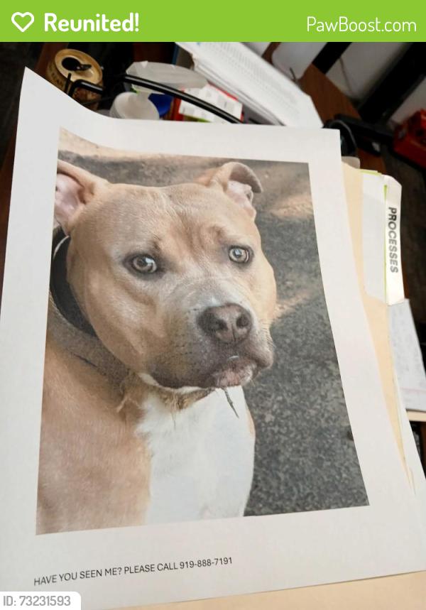 Reunited Male Dog last seen Clayton, Clayton, NC 27520