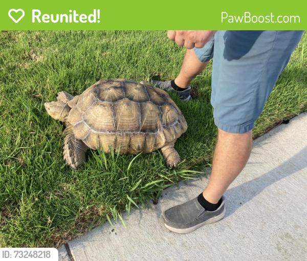 Reunited Unknown Reptile last seen Brockton Ave & Jurupa Ave, Riverside, CA 92506