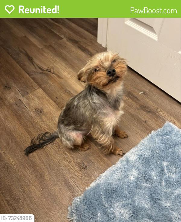 Reunited Male Dog last seen Legacy at Palmetto Farms, South Fulton, GA 30349