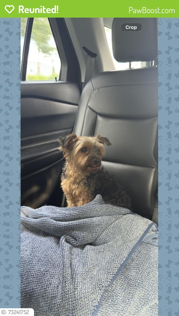 Reunited Female Dog last seen Albritton Rd, St. Cloud, FL 34772