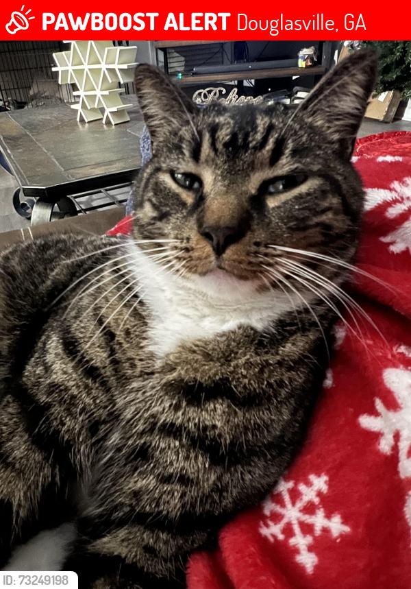 Lost Male Cat last seen Near Oakridge Court, Douglasville, GA 30134