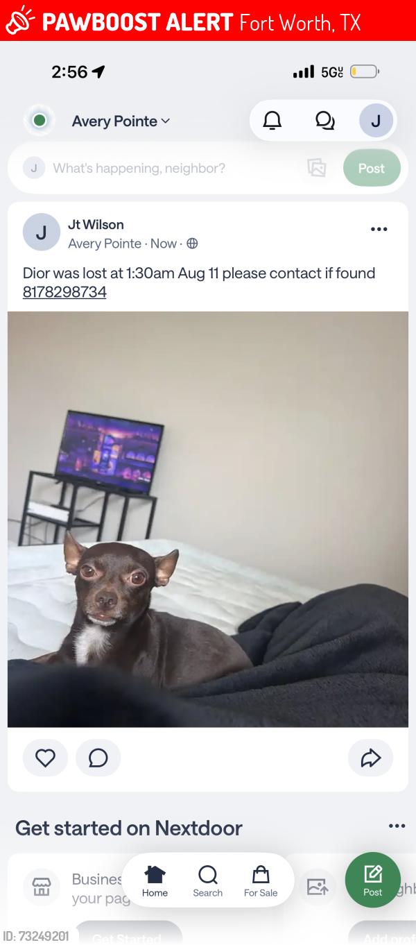 Lost Female Dog last seen Cameron creek cove, Fort Worth, TX 76132