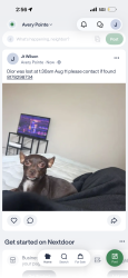 Lost Female Dog last seen Cameron creek cove, Fort Worth, TX 76132