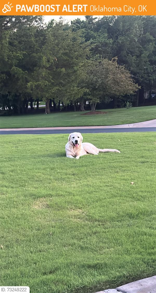 Found/Stray Male Dog last seen Hefner & Air Depot, Oklahoma City, OK 73013