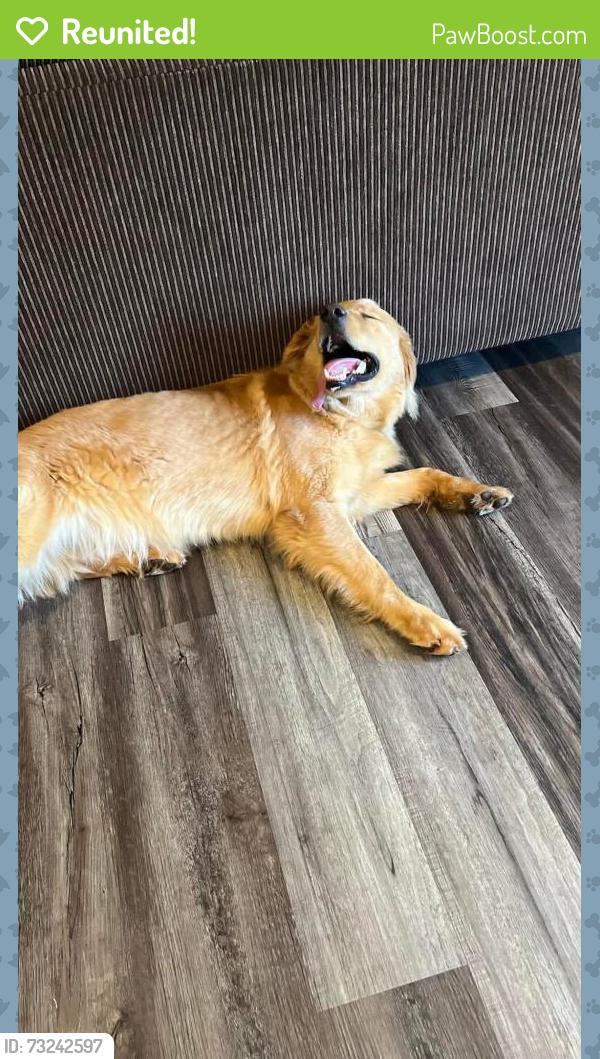 Reunited Male Dog last seen julian ridge rd, Chattanooga, TN 37421