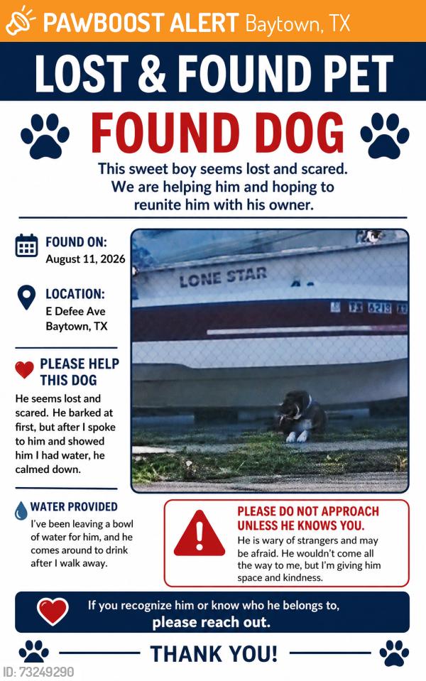 Found/Stray Male Dog last seen E Defee Ave & North 6th St, Baytown, TX, Baytown, TX 77520