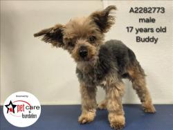 Shelter Stray Male Dog last seen , 3201 Lacy St, Los Angeles, CA 90031, USA