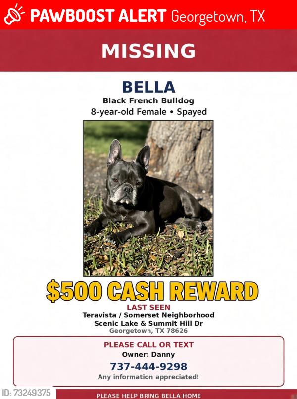 Lost Female Dog last seen Scenic Lake/ Summit Hill Dr, Georgetown, TX 78626