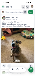 Found/Stray Female Dog last seen Clairmont Place, Macon, GA 31204