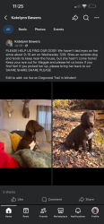 Lost Female Dog last seen dogwood trail minden la, Webster Parish, LA 71055