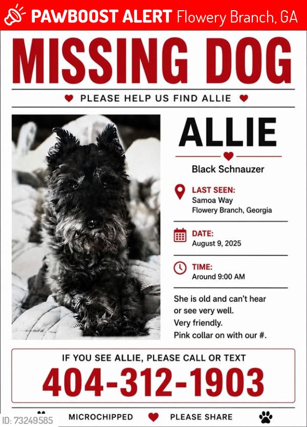 Lost Female Dog last seen Near Samoa Way, Flowery Branch, Flowery Branch, GA 30542