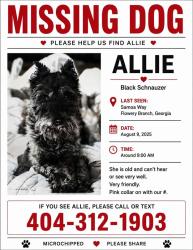 Lost Female Dog last seen Near Samoa Way, Flowery Branch, Flowery Branch, GA 30542