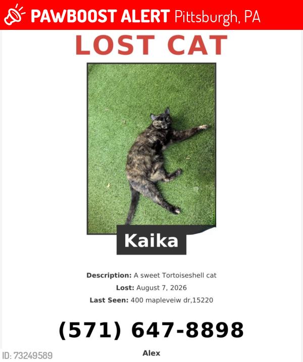 Lost Female Cat last seen Near mapleview, Pittsburgh, PA 15220