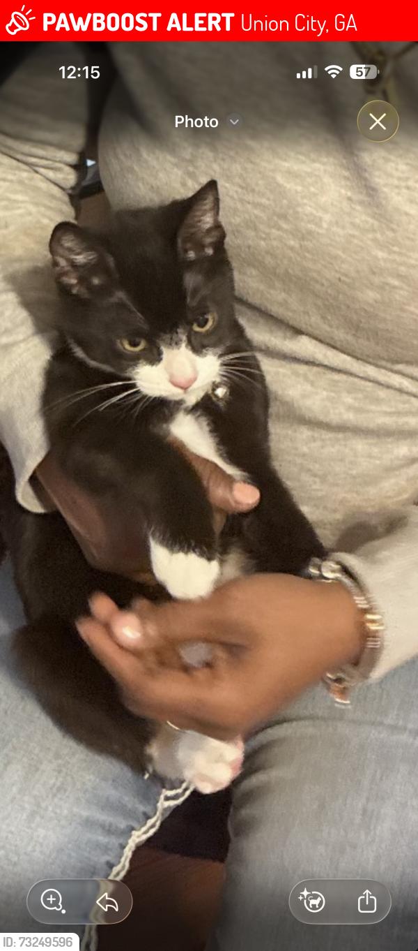 Lost Male Cat last seen Jonesboro rd, Union City, GA 30291