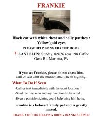 Lost Male Cat last seen Farm corn field across the street, rest of the neighborhood behind, Marietta, PA 17547