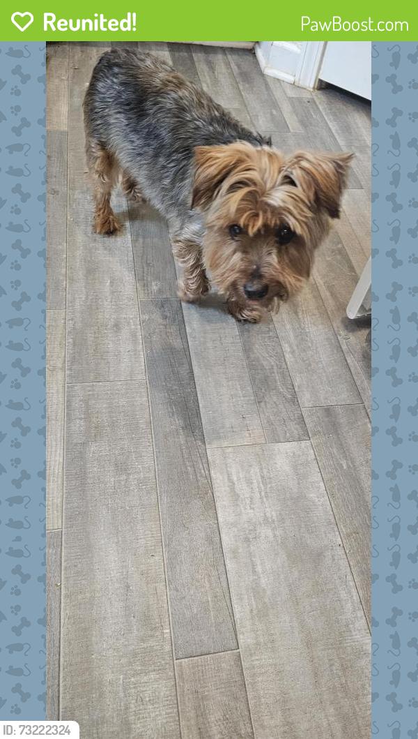 Reunited Male Dog last seen Haw Village neighborhood, Saxapahaw-Bethlehem Church Rd, NC 27340
