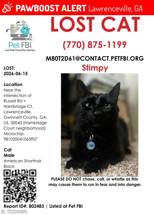 Lost Male Cat last seen Russel rd and hambridge ct, Lawrenceville, GA 30043