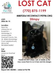 Lost Male Cat last seen Russel rd and hambridge ct, Lawrenceville, GA 30043