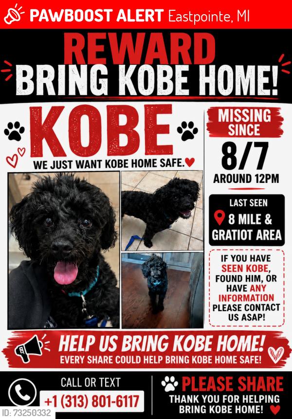 Lost Male Dog last seen 8/ Gratiot, Eastpointe, MI 48021