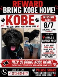 Lost Male Dog last seen 8/ Gratiot, Eastpointe, MI 48021