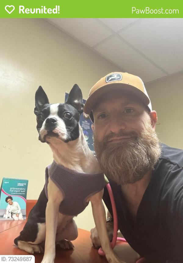 Reunited Female Dog last seen Fieldstone Dr. and Wayside Rd., Rome, GA 30161